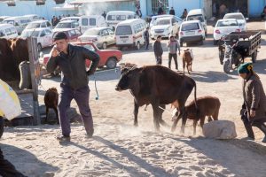 Usbekistan_08102017_067_Foto_Guntram-Walter-300x200