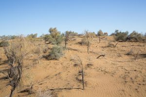 Usbekistan_08102017_088_Foto_Guntram-Walter-300x200