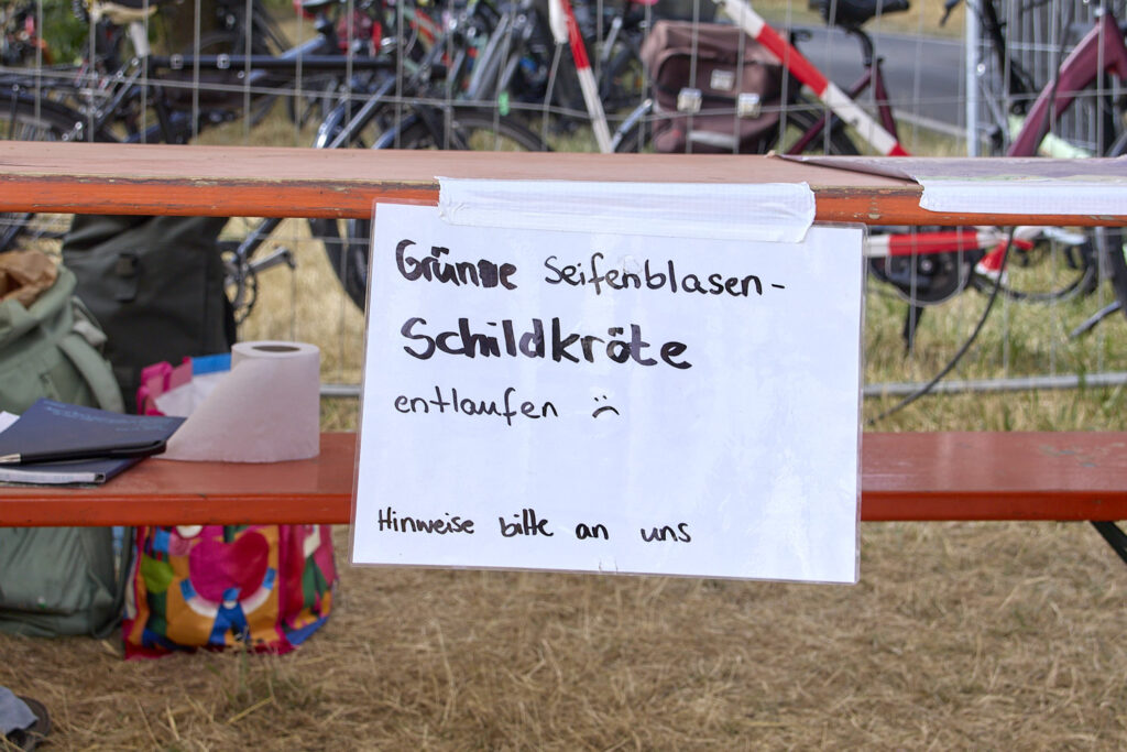 Grüne Seifenblasenschildkröte entlaufen - Herzberg 2026